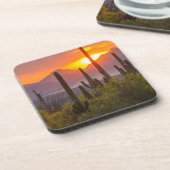 Sonnenuntergang der Wüste, Arizona Getränkeuntersetzer (Linke Seite)