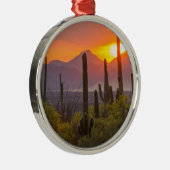 Sonnenuntergang der Wüste, Arizona Silbernes Ornament (Rechts)