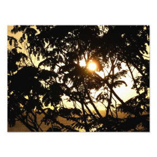 Sonnenuntergang durch Bäume I Tropische Fotografie