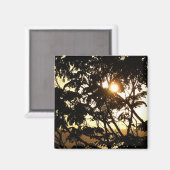 Sonnenuntergang durch Bäume I Tropische Fotografie Magnet (Vorderseite/Rückseite)