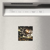 Sonnenuntergang durch Bäume I Tropische Fotografie Magnet (In Situ (Geschirrspüler))