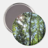 Sonnenuntergang durch das Baummagazin Magnet (Vorderseite/Rückseite)