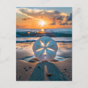 Sonnenuntergang durch den Sand-Dollar Postkarte
