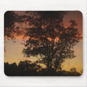 Sonnenuntergang durch die Bäume Mousepad