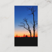 Sonnenuntergang durch die Bäume Visitenkarte (Vorderseite)