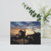 Sonnenuntergang durch die Palms Postkarte (Stehend Vorderseite)