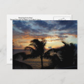 Sonnenuntergang durch die Palms Postkarte (Vorne/Hinten)