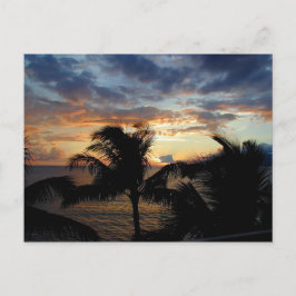 Sonnenuntergang durch die Palms Postkarte