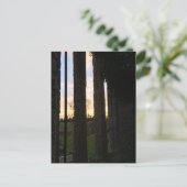 Sonnenuntergang durch die Ruinen eines mittelalter Postkarte (Stehend Vorderseite)