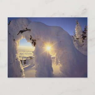 Sonnenuntergang durch die Schneegassen im Großen B Postkarte