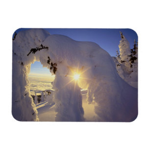 Sonnenuntergang durch die Snowghosts am Big Mounta Magnet
