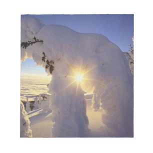 Sonnenuntergang durch die Snowghosts am Big Mounta Notizblock