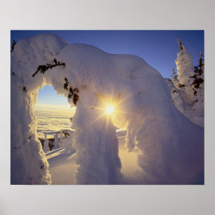 Sonnenuntergang durch die Snowghosts am Big Mounta Poster