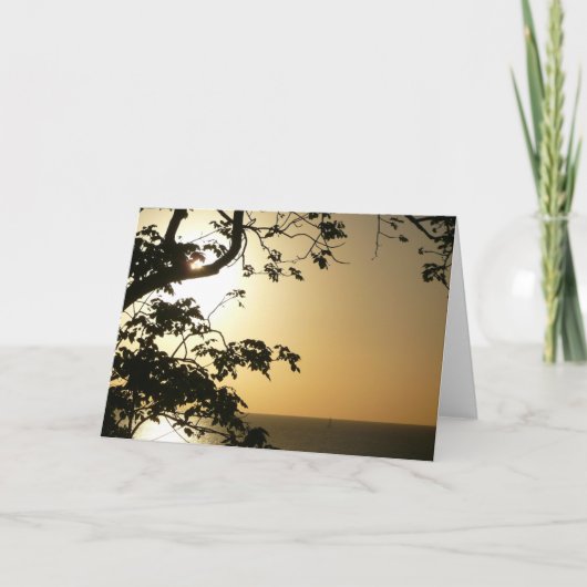 Sonnenuntergang durch die Tropenfotografie der Bäu Karte (Vorderseite)