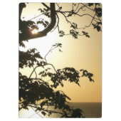 Sonnenuntergang durch die Tropenfotografie der Bäu Klemmbrett (Rückseite)