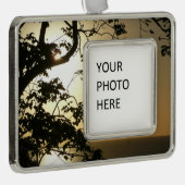 Sonnenuntergang durch die Tropenfotografie der Bäu Rahmen-Ornament Silber (Rechts)