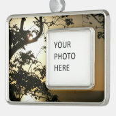 Sonnenuntergang durch die Tropenfotografie der Bäu Rahmen-Ornament Silber (Links)