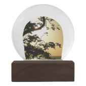 Sonnenuntergang durch die Tropenfotografie der Bäu Schneekugel (Rückseite)