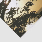 Sonnenuntergang durch die Tropenfotografie der Bäu Seidenpapier (Ausschnitt)