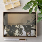 Sonnenuntergang durch die Tropenfotografie der Bäu Seidenpapier (Geschenk)