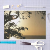 Sonnenuntergang durch die Tropenfotografie der Bäu Seidenpapier (Handwerk)