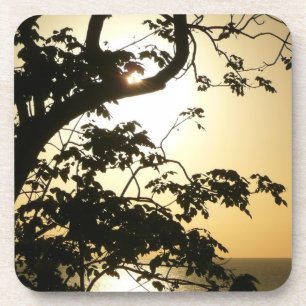 Sonnenuntergang durch die Tropenfotografie der Bäu Untersetzer