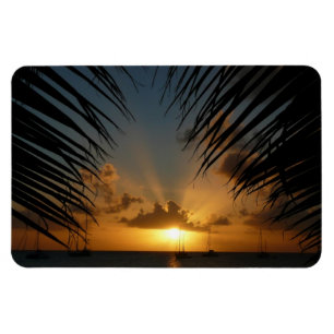 Sonnenuntergang durch die tropische Küste der Palm Magnet