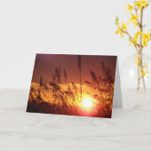 Sonnenuntergang durch karte (Gelbe Blume)