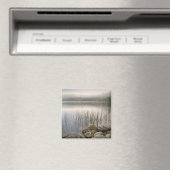 Sonnenuntergang durch Nebel über den Upper Hadlock Magnet (In Situ (Geschirrspüler))