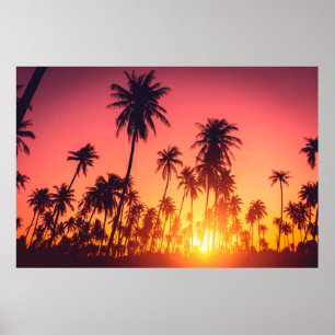 Sonnenuntergang durch tropische Bäume Poster