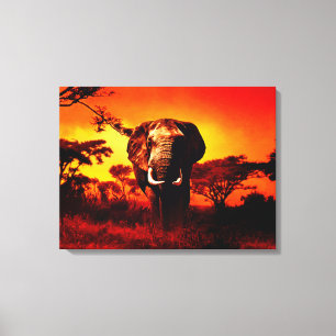 Sonnenuntergang-Elefant Leinwanddruck