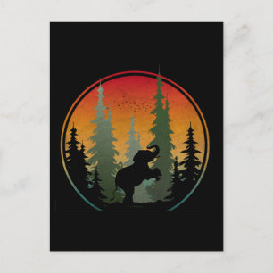 Sonnenuntergang Elefantenlandschaft Postkarte