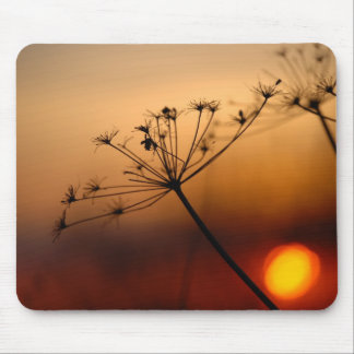 Sonnenuntergang-Feld-Blumen Mousepad