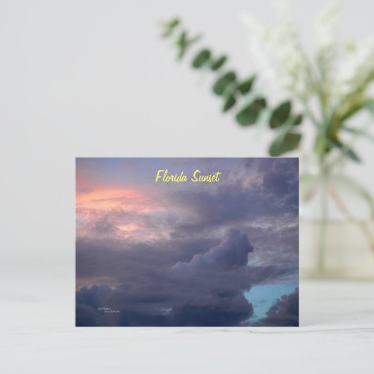 Sonnenuntergang Florida Postkarte (Stehend Vorderseite)