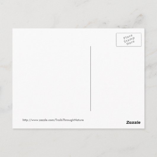 Sonnenuntergang Florida Postkarte (Rückseite)