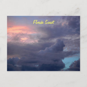 Sonnenuntergang Florida Postkarte