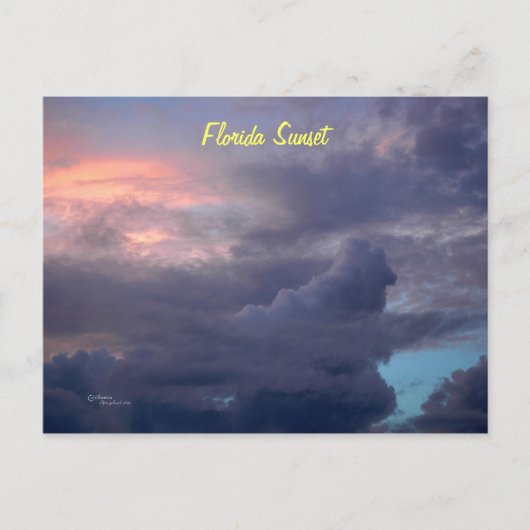Sonnenuntergang Florida Postkarte (Vorderseite)