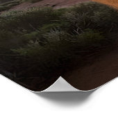 Sonnenuntergang Freude: Charming Quokka lächelt an Poster (Ecke)