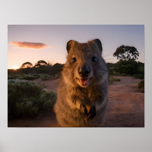 Sonnenuntergang Freude: Charming Quokka lächelt an Poster (Vorne)
