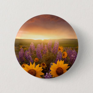 Sonnenuntergang-Gänseblümchen Button