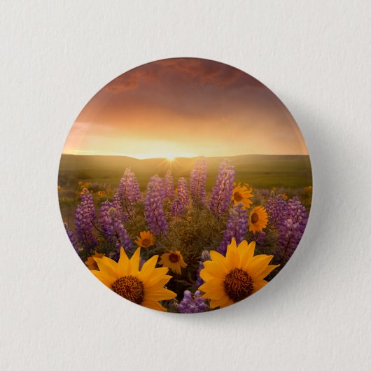 Sonnenuntergang-Gänseblümchen Button (Vorderseite)