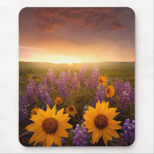 Sonnenuntergang-Gänseblümchen Mousepad