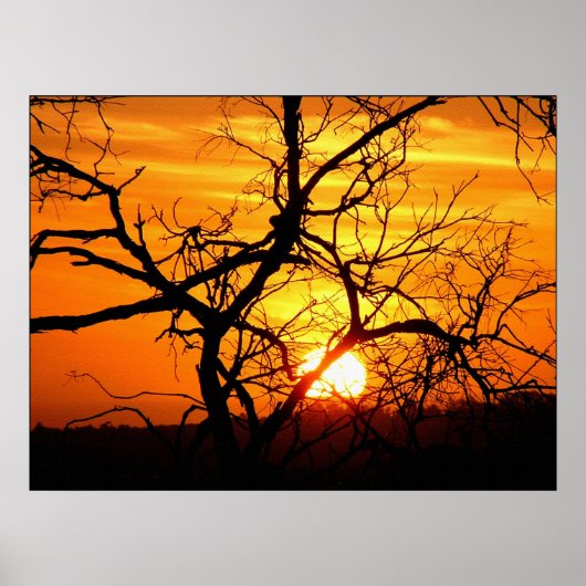 Sonnenuntergang Gebranntes Poster (Vorne)