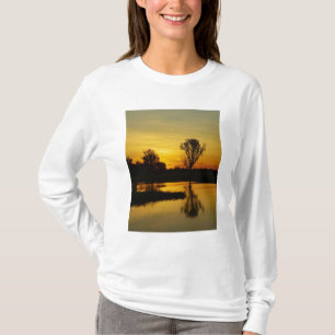 Sonnenuntergang, Gelbes Wasser, Billabong T-Shirt