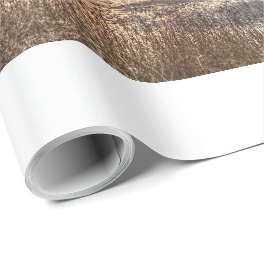 Sonnenuntergang Geschenkpapier (Rolleneckpunkt)