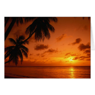 Sonnenuntergang-heilende Karte