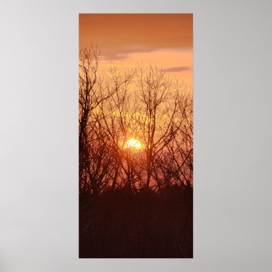 Sonnenuntergang hinter den Bäumen Poster (Vorne)