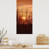 Sonnenuntergang hinter den Bäumen Poster (Küche)