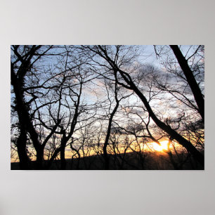 Sonnenuntergang hinter den Bäumen Poster