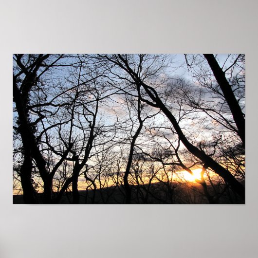 Sonnenuntergang hinter den Bäumen Poster (Vorne)